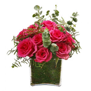 Cubo de Rosas Rosa Fuchsia