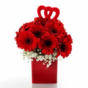Explosão de Amor com Gerberas