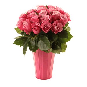 Vaso Alto de Rosas Cor de Rosa