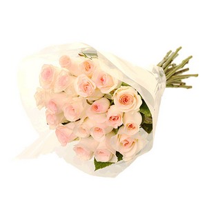 Molho de Rosas Cor de Rosa Claro