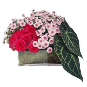 Quadrado com Margaridas e Rosas